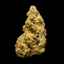 Future Haze Indoor -FLOAT- 082725 20250813SAFHZ.webp