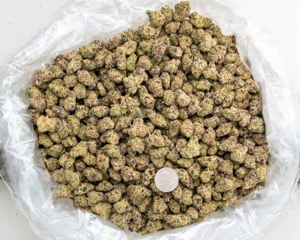 Drippin' Ain't Easy Indoor Smalls -BAG- 082725 20250813SANSL.webp