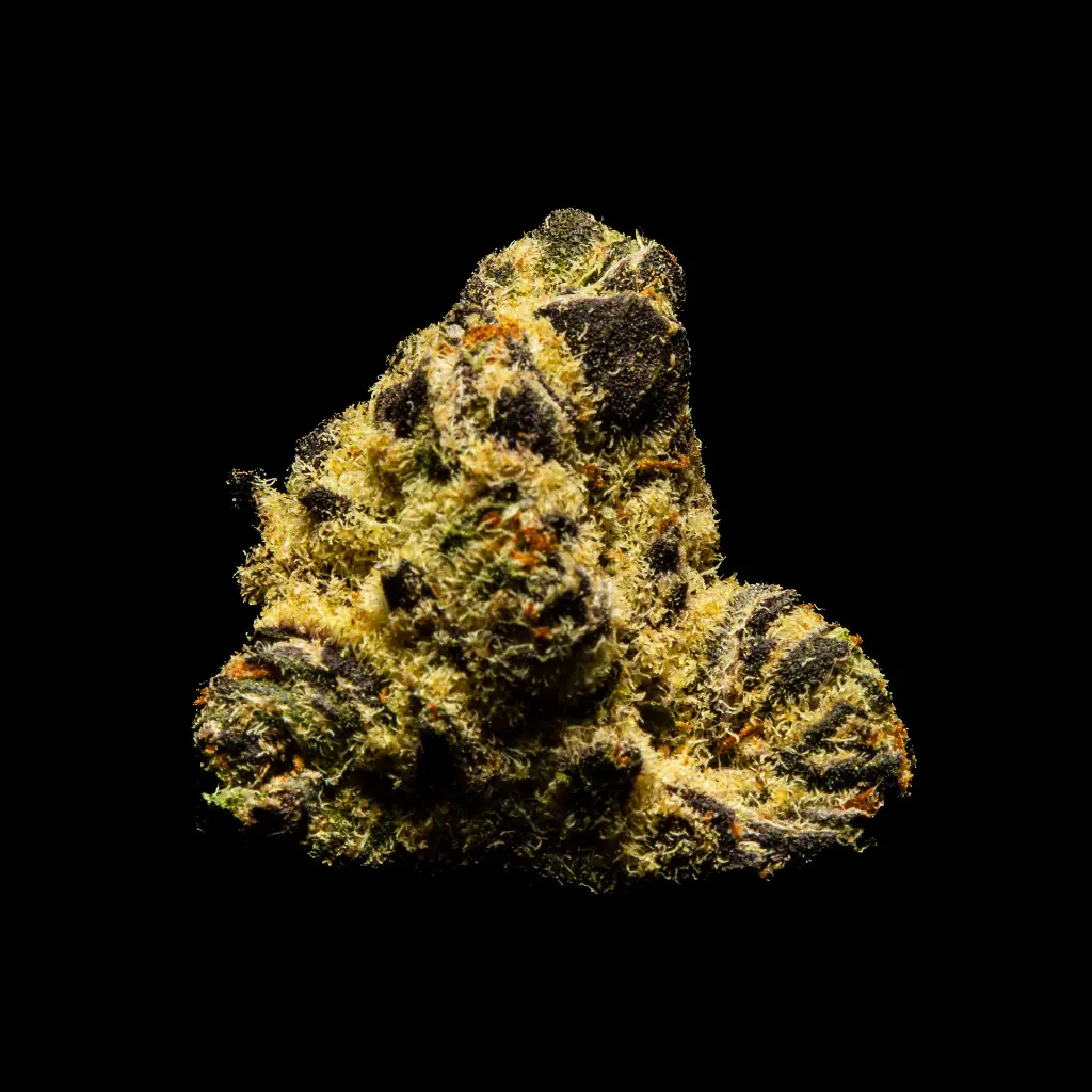 Drippin' Ain't Easy Indoor Smalls -FLOAT- 082725 20250813SANSL.webp