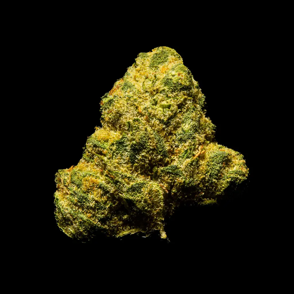 Falcon 9 OG Indoor Smalls -FLOAT- 082725 20250813SAF90.webp