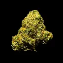Falcon 9 OG Indoor Smalls -FLOAT- 082725 20250813SAF90.webp