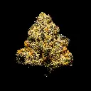 Gelonade Indoor Smalls -FLOAT- 082725 20250813SAGLS.webp