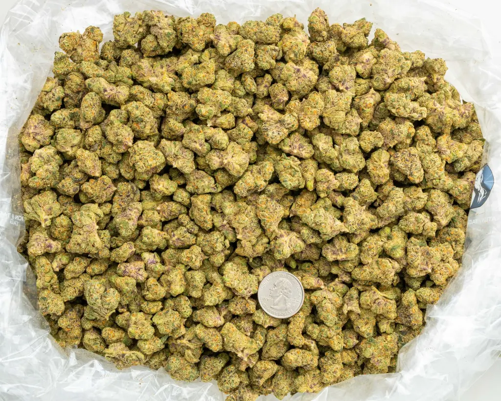 Jet Fuel Indoor Smalls -BAG- 082725 20250813SAJFL.webp