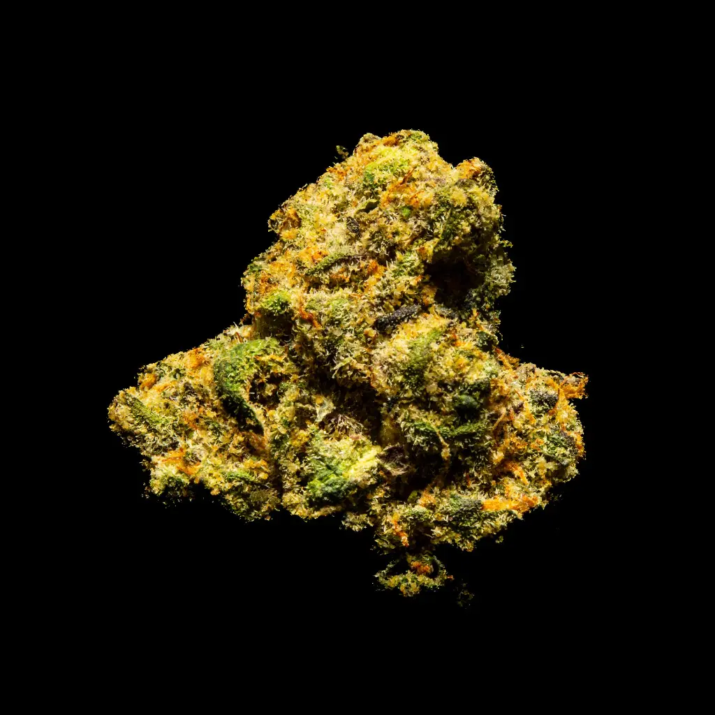 Jet Fuel Indoor Smalls -FLOAT- 082725 20250813SAJFL.webp