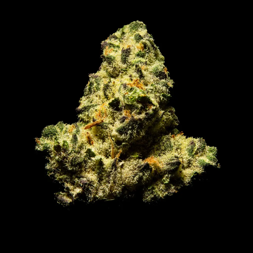 Dante's Inferno Indoor Smalls -FLOAT- 082725 20250813SADTI.webp