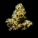 Dante's Inferno Indoor Smalls -FLOAT- 082725 20250813SADTI.webp