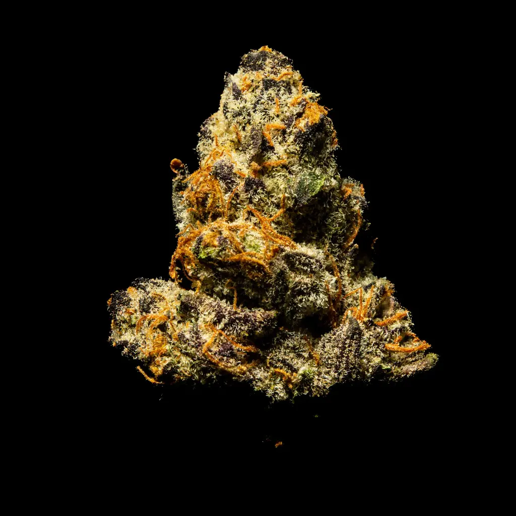 Lemon Slam Indoor Smalls -FLOAT- 082725 20250813SALMS.webp