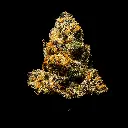 Lemon Slam Indoor Smalls -FLOAT- 082725 20250813SALMS.webp