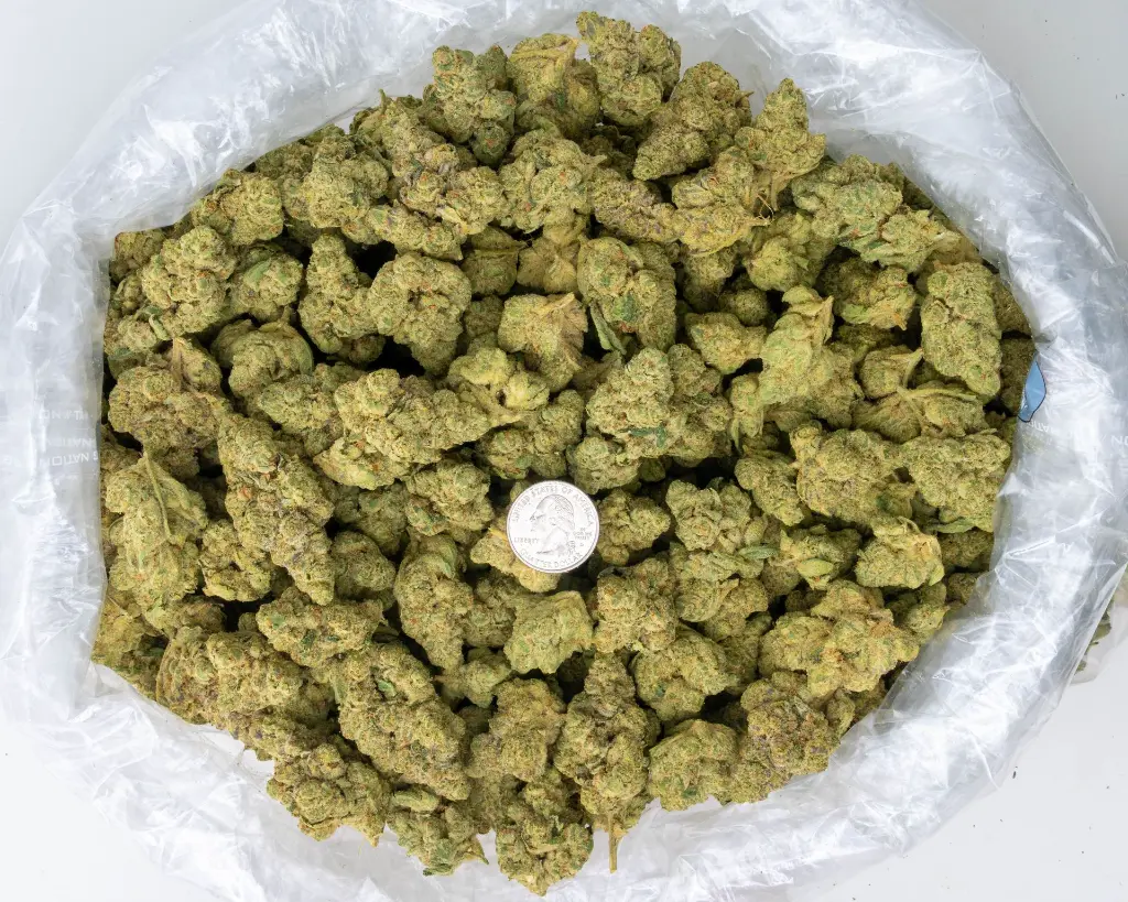 Falcon 9 OG -BAG- 20250707.webp