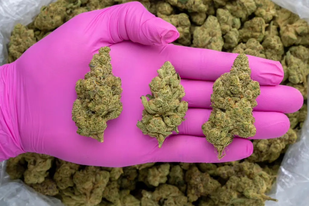 Falcon 9 OG -PINK- 20250707.webp