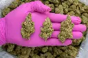 Falcon 9 OG -PINK- 20250707.webp