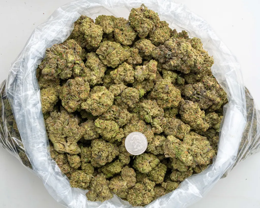 Mac #10 -BAG- 091125 20250911FGLMC.webp