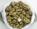 Mac #10 -BAG- 091125 20250911FGLMC.webp