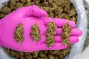 Slurty -PINK- 091125 20250911FGPNC.webp