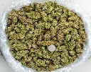 Northern Lights Indoor  -BAG- 091125.webp