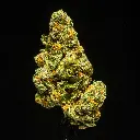 Northern Lights Indoor  -FLOAT- 091125.webp