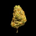 Apple Sherbet Indoor Mediums -FLOAT- 091125.webp