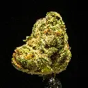 Gummiez Indoor Smalls -FLOAT- 091125.webp