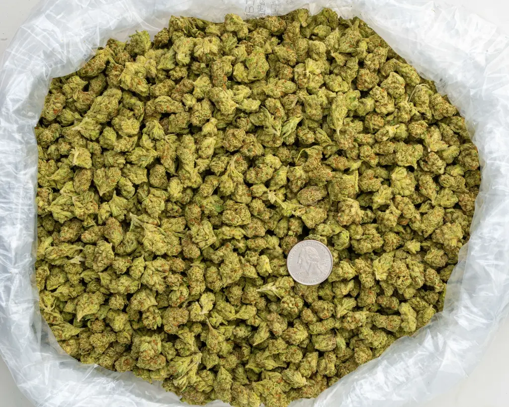 SKB Smalls -BAG- 091125.webp
