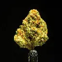 Sour Patch Candy Smalls -FLOAT- 091525 20250915ISGVPG.webp