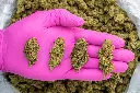 Gelato #33 -PINK- 091825 20250918RBG33.webp