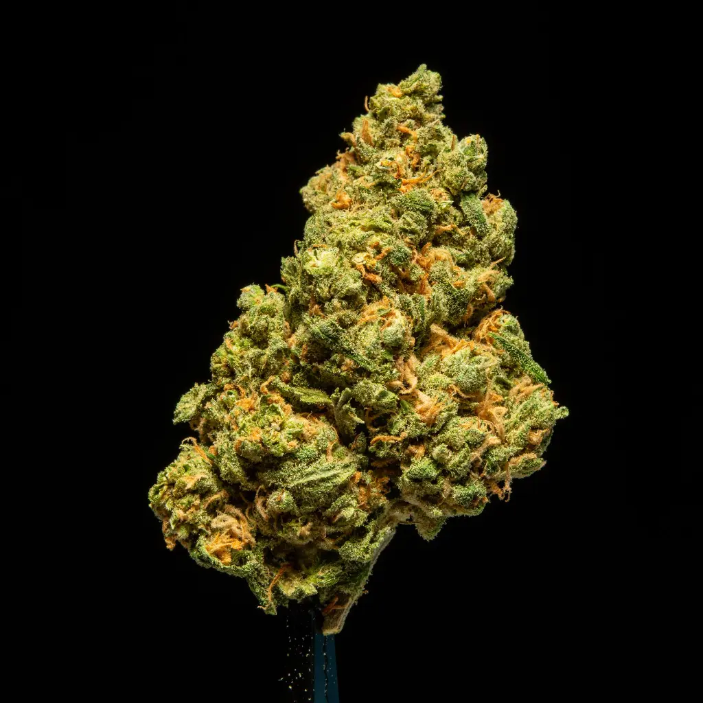 Super Lemon Haze -FLOAT- 091825.webp