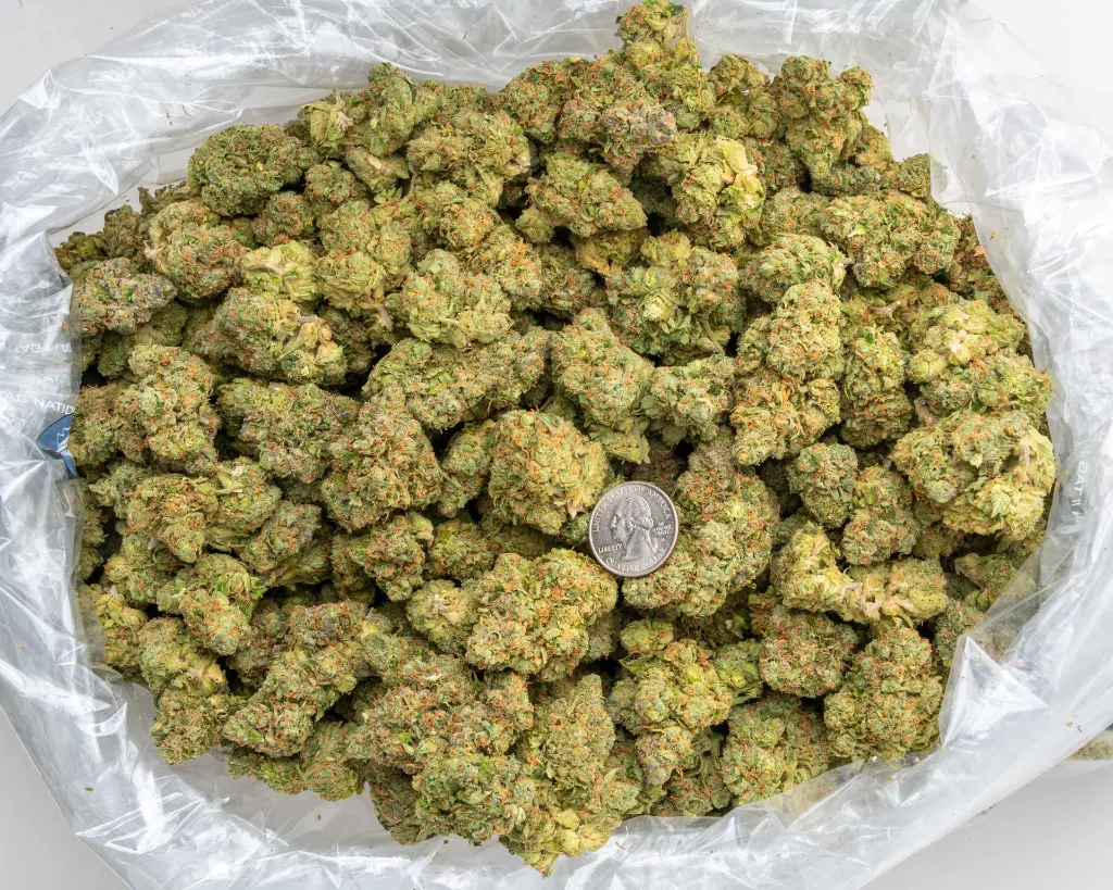 Gary Zkittles Indoor -BAG- 092325 20250922VGRBR.webp