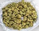Gary Zkittles Indoor -BAG- 092325 20250922VGRBR.webp