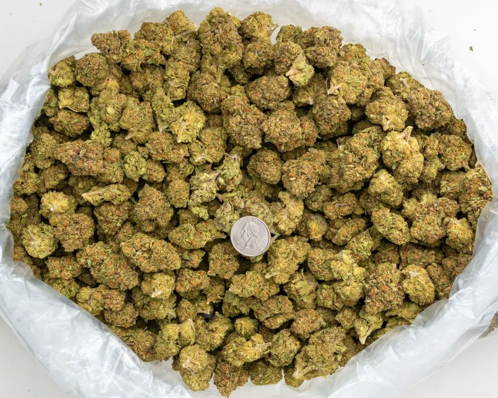 Huckleberry Soda -BAG- 091925 20250917FHLGD.webp