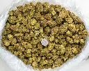 Huckleberry Soda -BAG- 091925 20250917FHLGD.webp