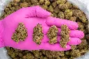 Ghost Vapor OG -PINK- 091925 20250917FHCDC.webp