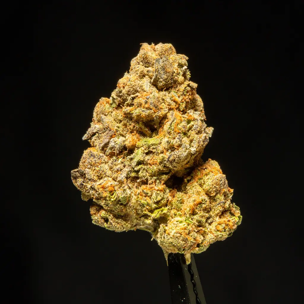 Ghost Vapor OG -FLOAT- 091925 20250917FHCDC.webp