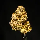 Ghost Vapor OG -FLOAT- 091925 20250917FHCDC.webp