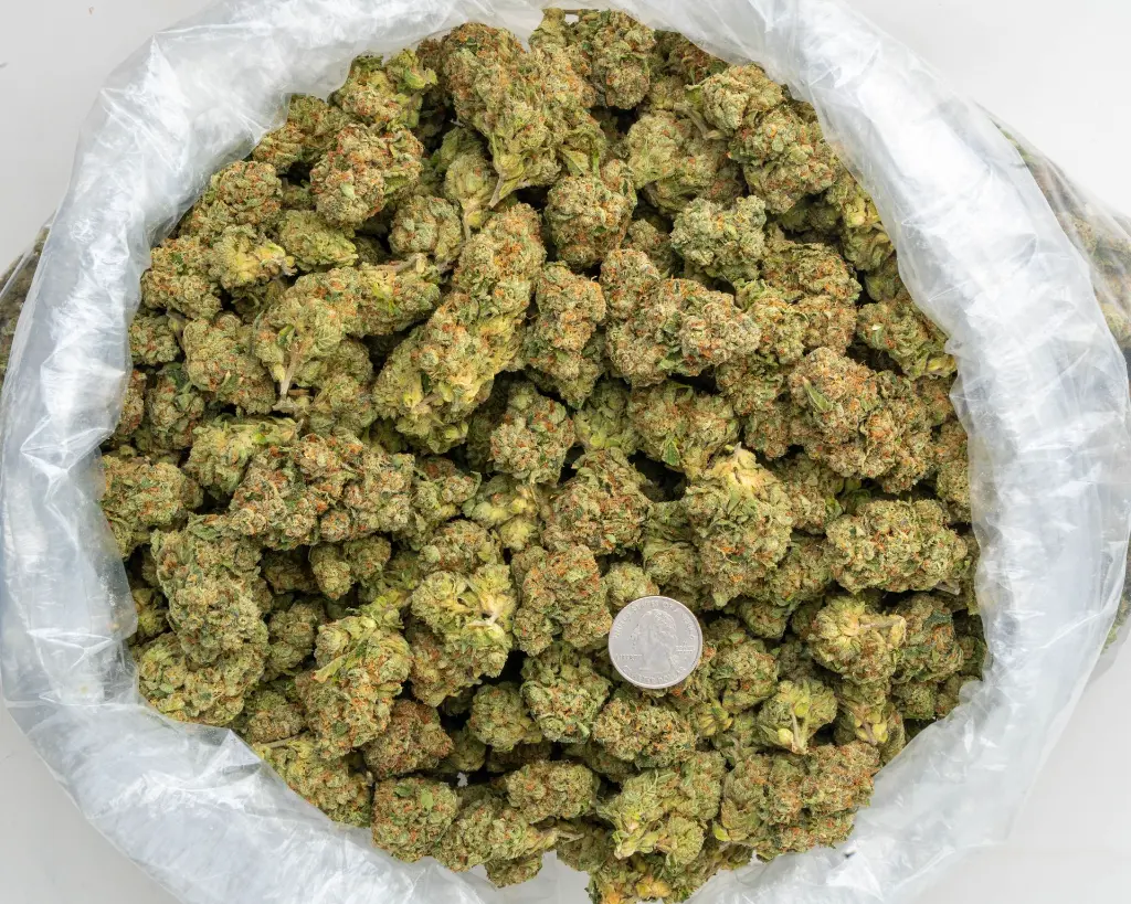 Caked Up Candy -BAG- 091825.webp