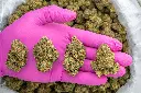 Caked Up Candy -PINK- 091825.webp