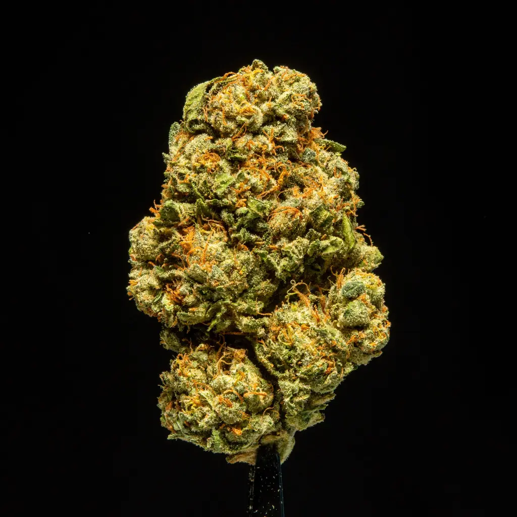 Caked Up Candy -FLOAT- 091825.webp