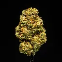 Caked Up Candy -FLOAT- 091825.webp