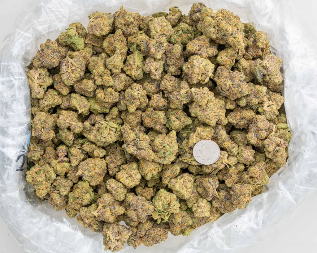 Jet Fuel Indoor -BAG- 092625 20250925SALZF.webp