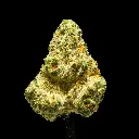 Chimera Junky Indoor Smalls -FLOAT- 092625 20250925SACJS.webp