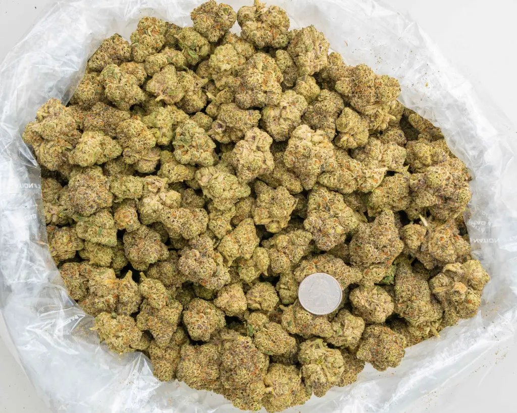 Oh Blis -BAG- 092625.webp