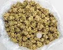 Oh Blis -BAG- 092625.webp