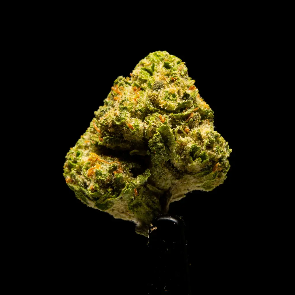 Space Rocks -FLOAT- 092925 (1).webp