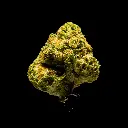 Space Rocks -FLOAT- 092925 (1).webp