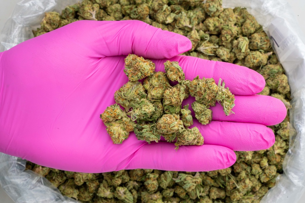 Banana Cooler Smalls -PINK- 050825 20250508RRBCS.webp