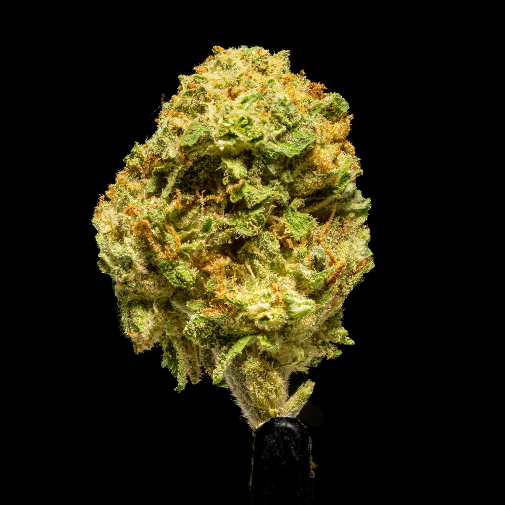 Banana Cooler Smalls -FLOAT- 050825 20250508RRBCS.webp