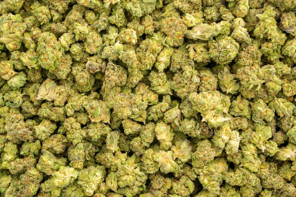Jelly Cake -NUG- 092925.webp