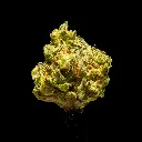 Jelly Cake -FLOAT- 092925.webp