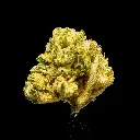 Alien OG -FLOAT- 092925 (1).webp