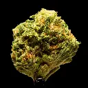 Gel 41 x DB -FLOAT- 092925.webp