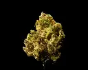 Bubble Gum Smalls -FLOAT- 051525 20250513HFSOP.webp